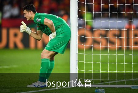了解bsport体育