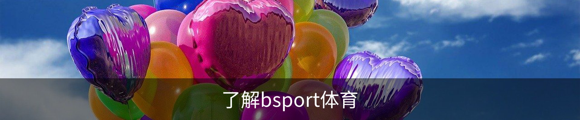 了解bsport体育