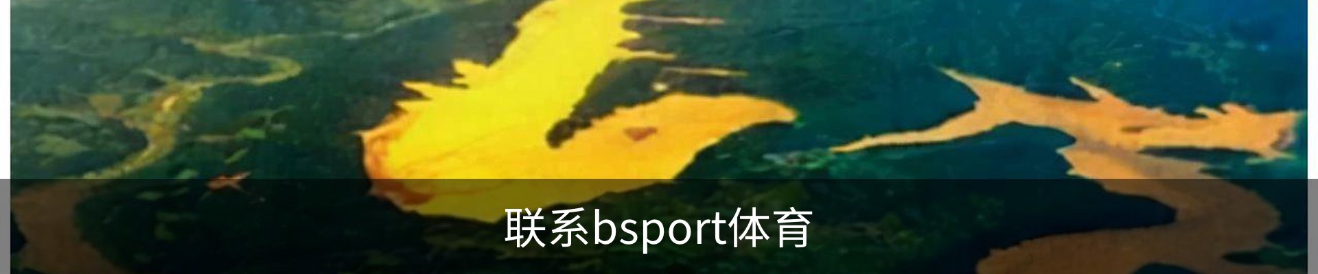 联系bsport体育